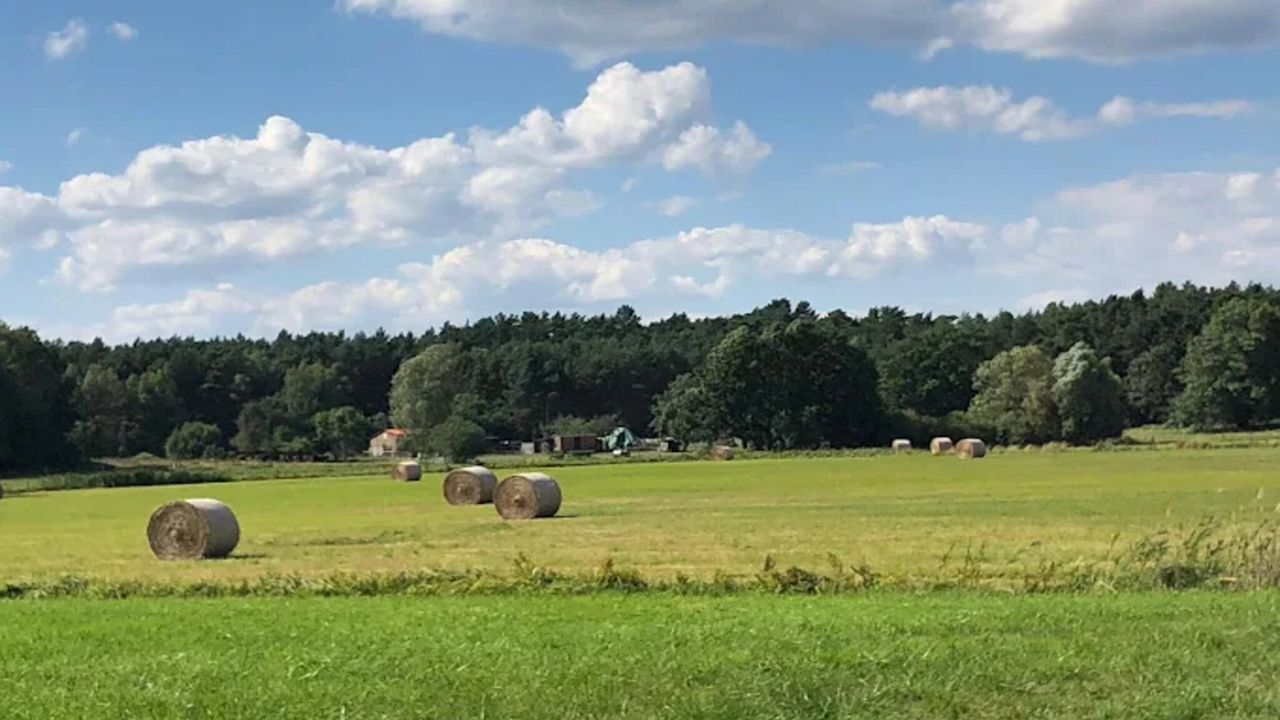 AreaSummer5KM AreaSummer5KM